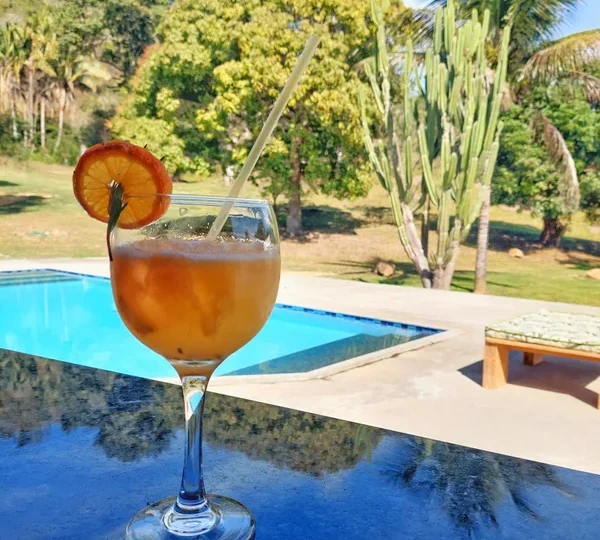 Pousada Eco Palmeira