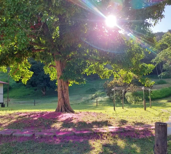 Pousada Eco Palmeira