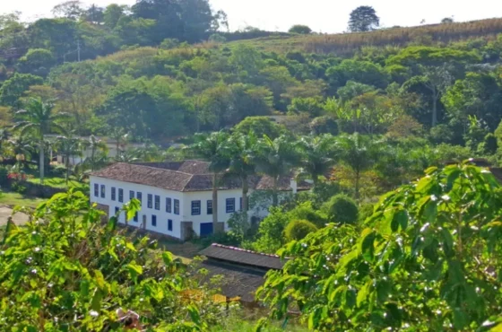Viagem ao Tempo e à Beleza