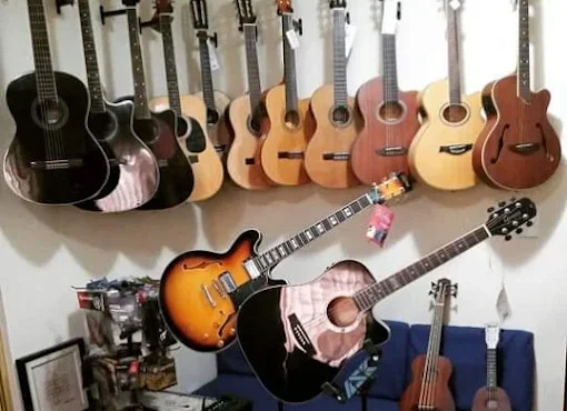 Elo Cordas e Sopro